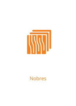 Madeiras Nobres